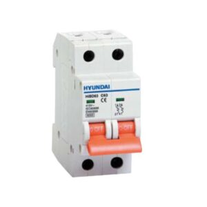 HYUNDAI Miniature Circuit Breaker 2pole (HIBD63)