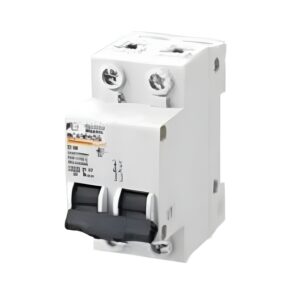 Fuji (BC-63) MCB Miniature Circuit Breaker 2Pole (40A, 50A, 63A) 10kA