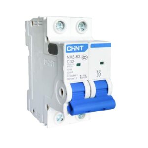 CHINT Miniature Circuit Breaker (MCB) 6kA (NXB-63C) 2pole